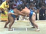 Sumo streaming