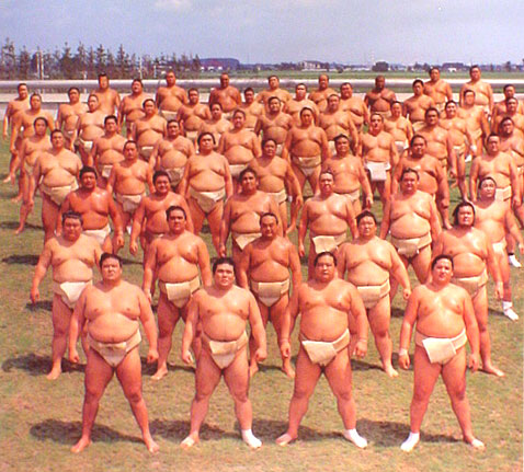 sumo.jpg