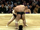 Ultimo match